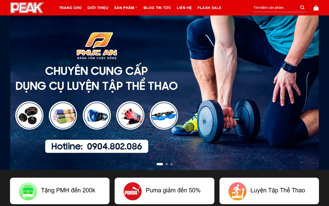 Mẫu website Mẫu web bán giày dép thể thao