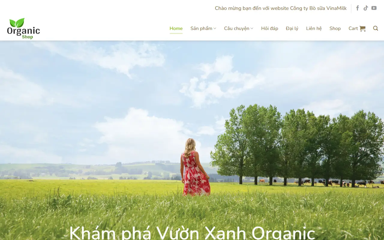 Mẫu website Mẫu web giới thiệu công ty #4