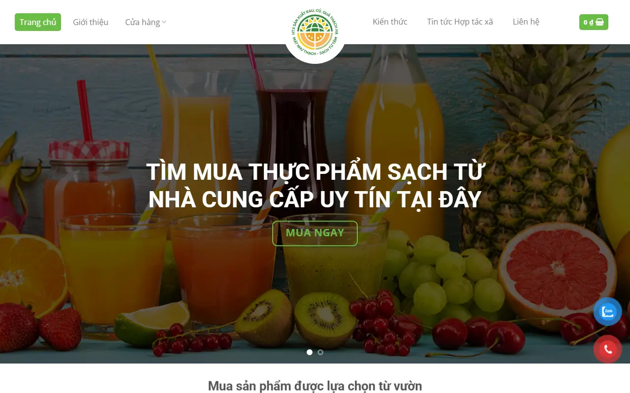 Mẫu website HTX Rau Củ Quả Thạch Hà
