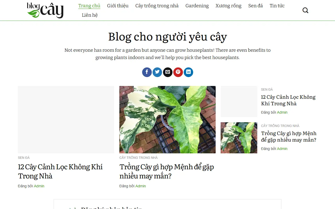 Ảnh trang chủ mẫu website tin tức & blog tintuc12.ivi.vn
